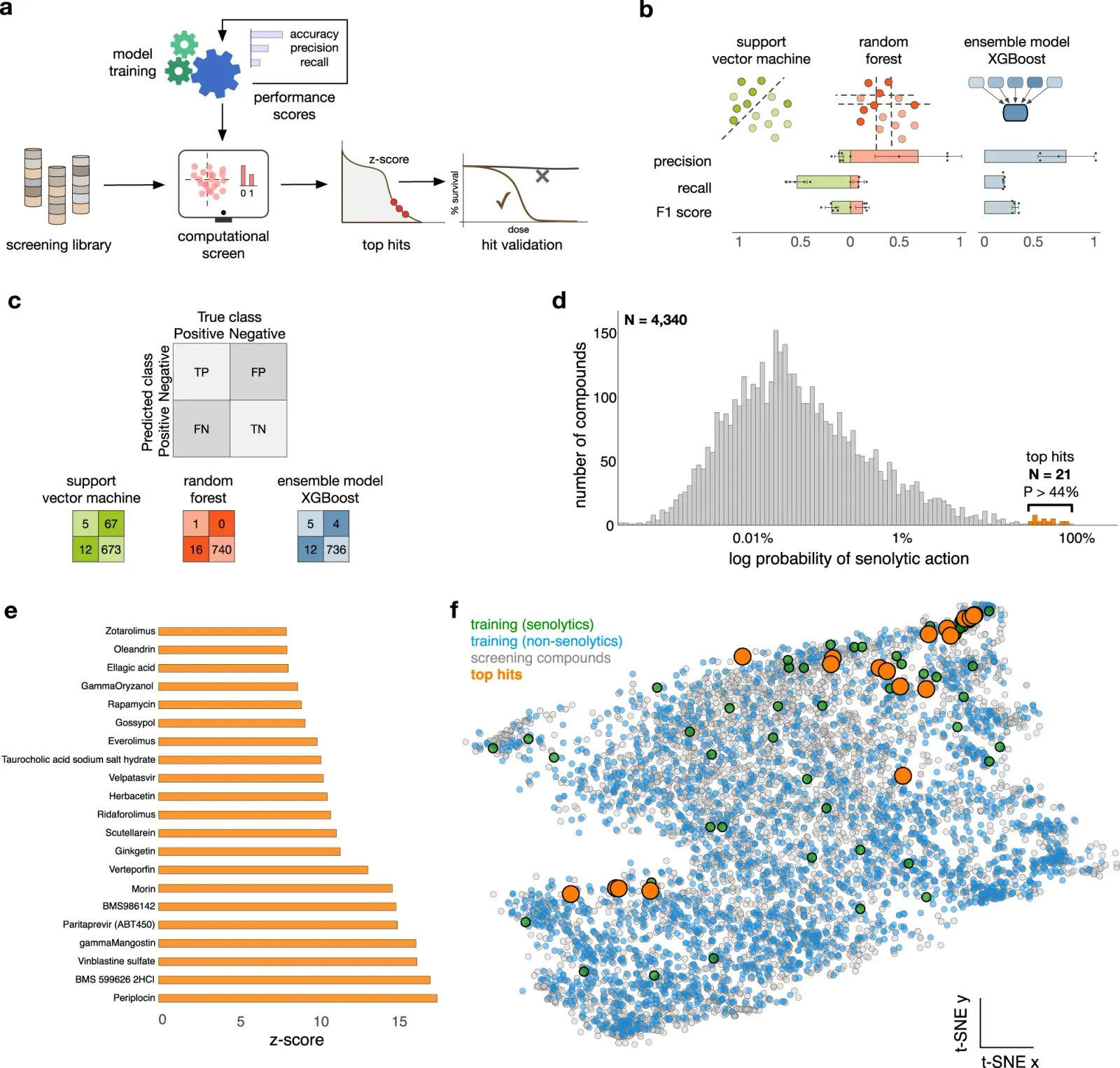 AI As Co‑Explorer: When Algorithms Lead Us To The Unknown (Image Credits: Wikimedia)