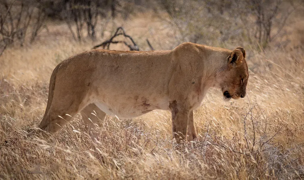 Pain, Suffering, and Why It Matters So Much (Martin de Lusenet, Flickr, CC BY 2.0)