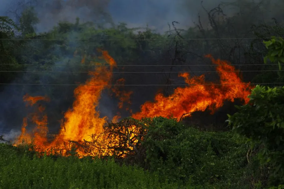 Heat, Drought, and Fire: The Feedback Loops You Are Not Seeing (Image Credits: Pexels)