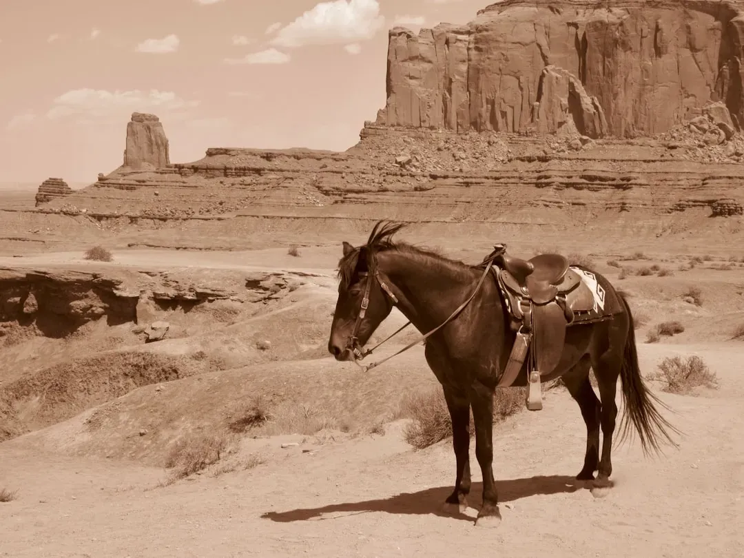 3. The New American Horse Story That Put Indigenous Peoples Back at the Center (Image Credits: Unsplash)