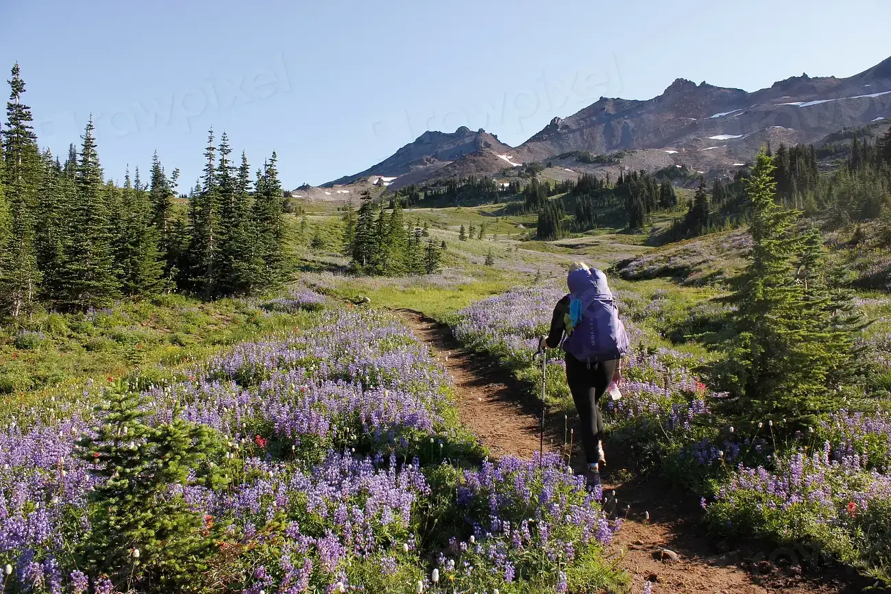 Real Dangers on the PCT That Are Scarier Than Any Shadow (Image Credits: Rawpixel)