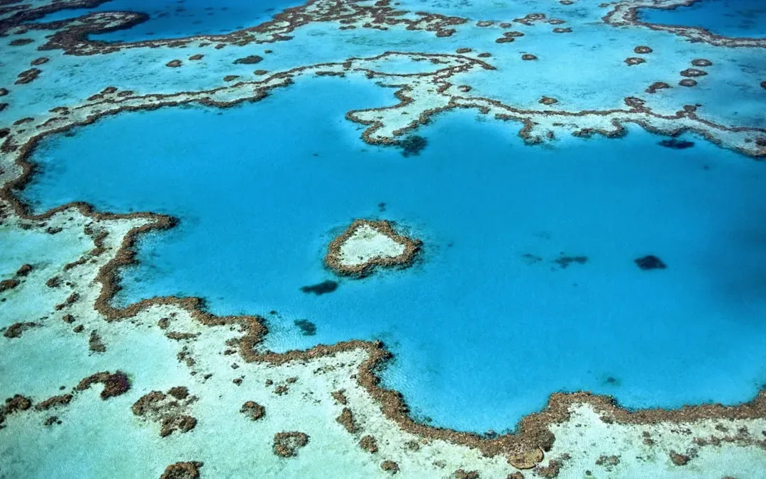 The Great Barrier Reef: Living Rock That Builds Itself (Image Credits: Unsplash)