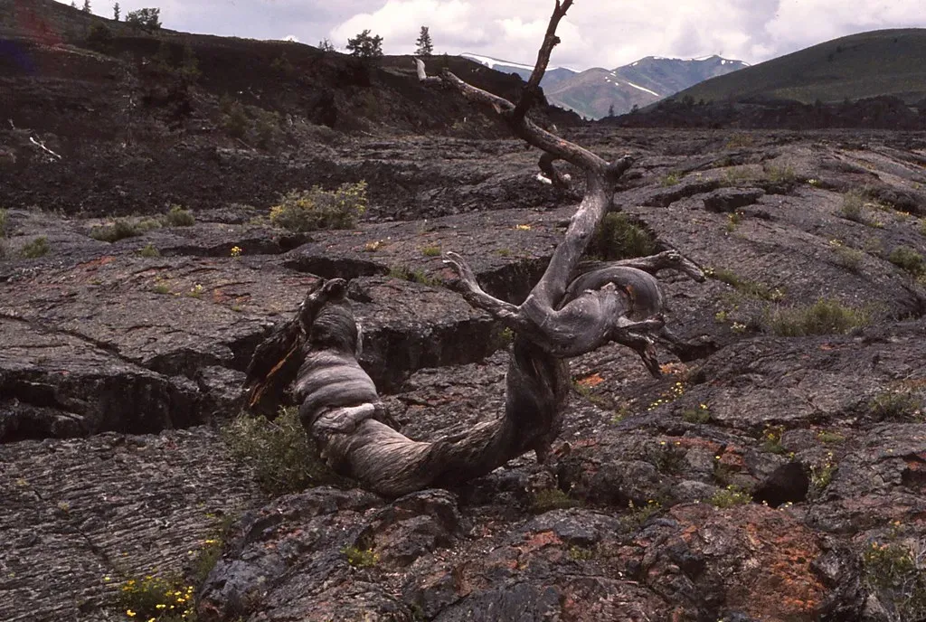 Craters of the Moon: Idaho's Volcanic Wasteland (Image Credits: Flickr)