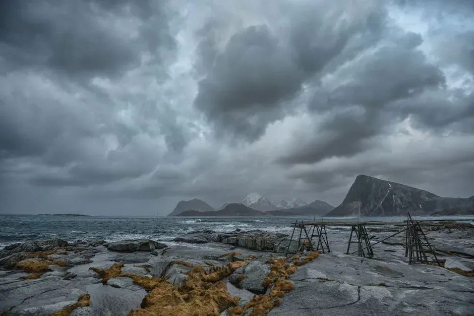 Conclusion: When Nature Becomes the Ultimate Peacekeeper (Image Credits: Pexels)