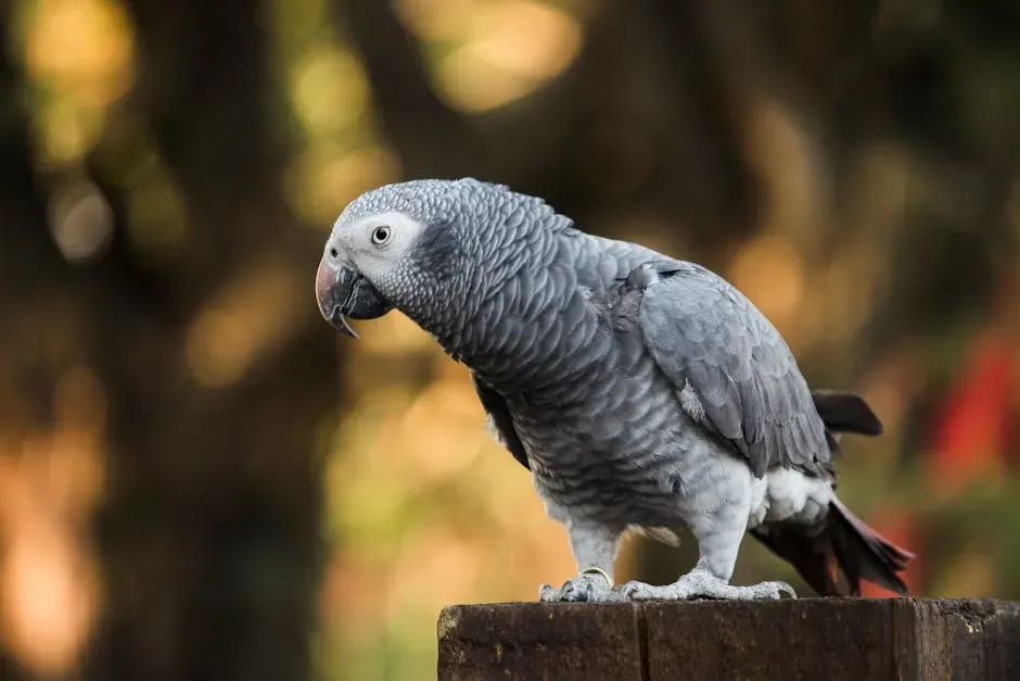 #5 – Parrots: Vocal Mimics With Emotional Depth (Image Credits: Pexels)