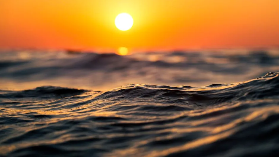 Marine Heatwaves Are Becoming the Ocean’s New Wildfires (Image Credits: Pexels)