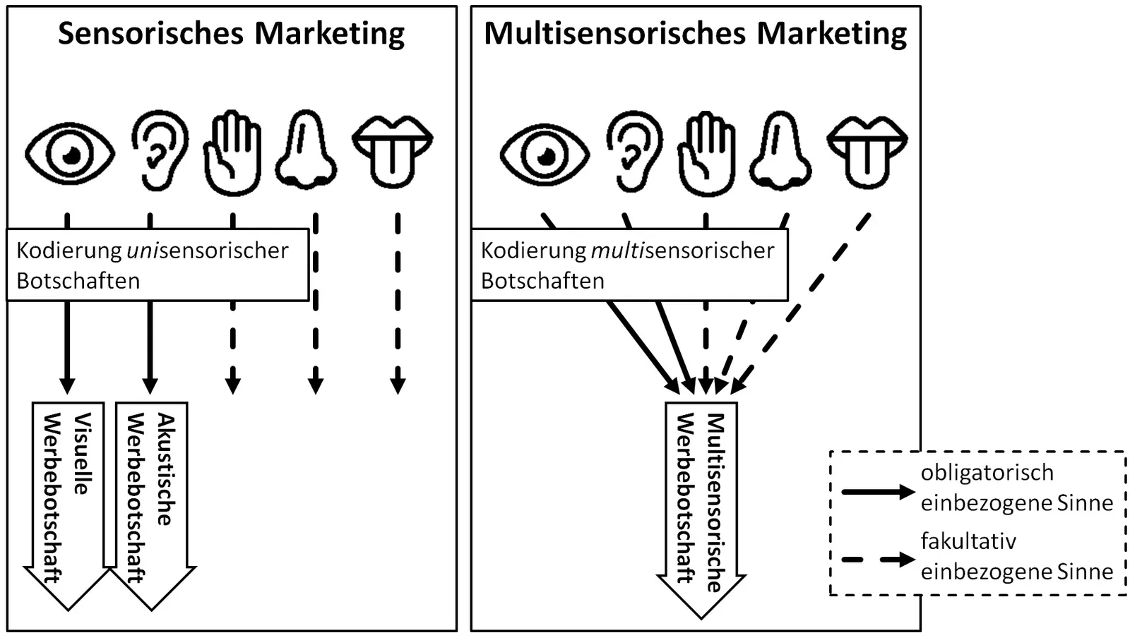 The Sound You Never Heard: Crossed Wires of Multisensory Perception (Image Credits: Wikimedia)