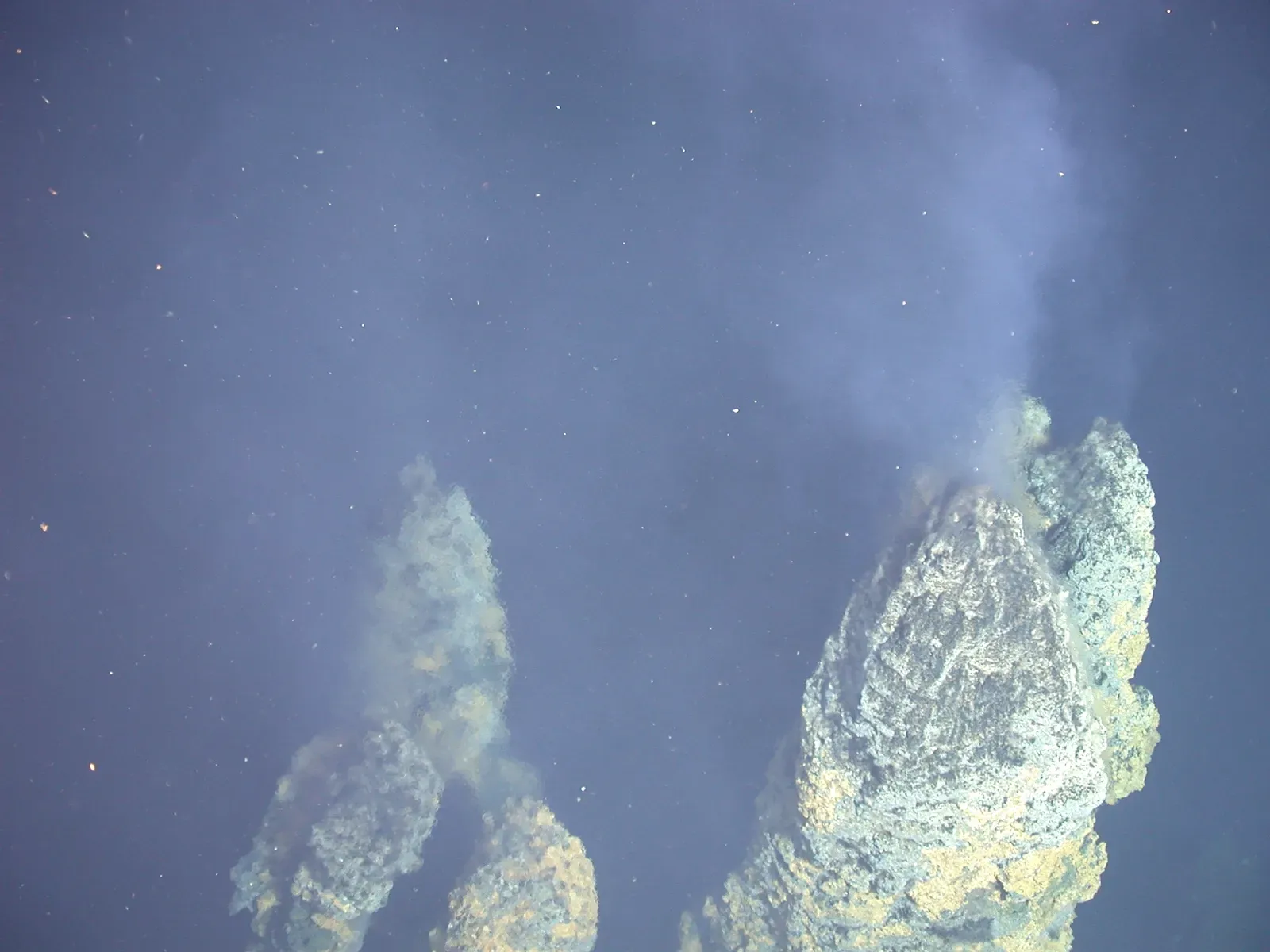 Hydrothermal Vents as Life's Birthplace (Image Credits: Wikimedia)