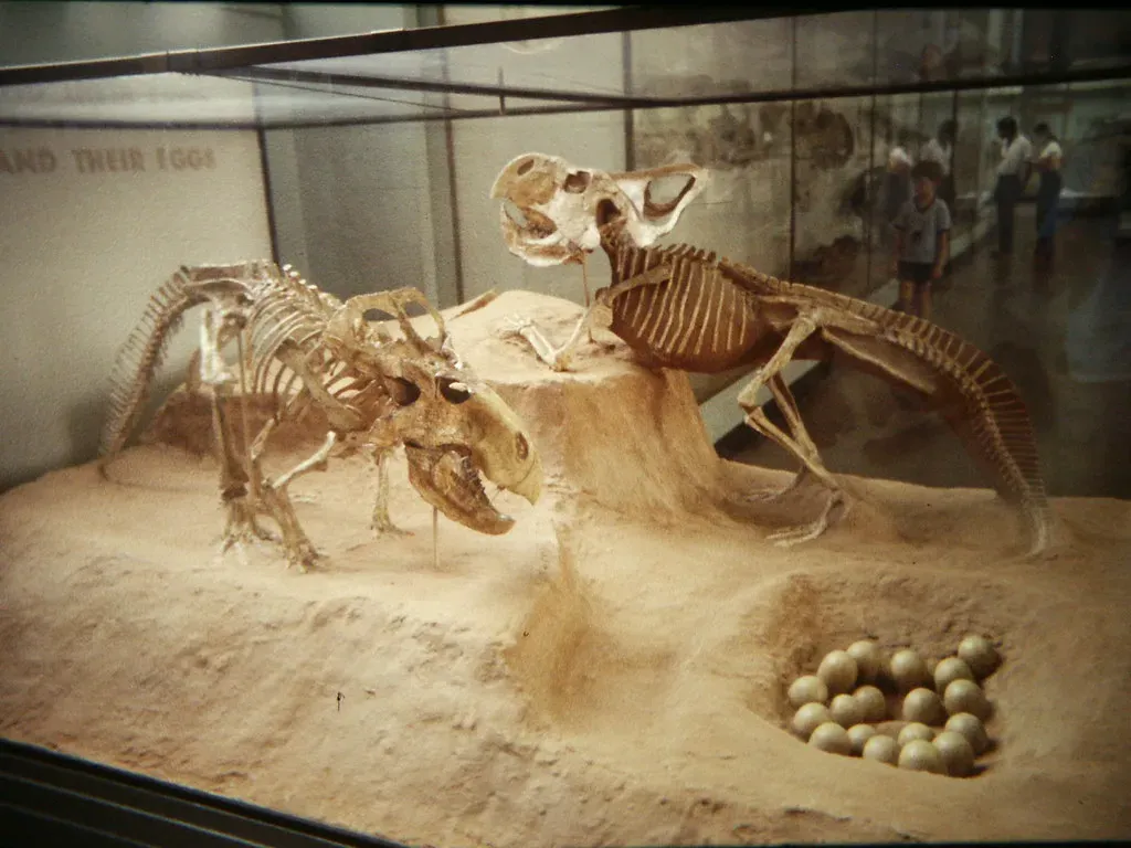 6. Protoceratops and the Mystery of Soft-Shelled Eggs (Image Credits: Flickr)