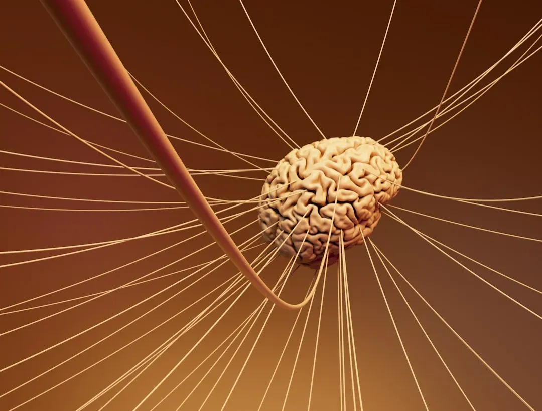 Information, integration, and the brain’s inner light (Image Credits: Unsplash)