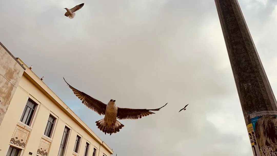 Mobbing the Enemy: Why Prey Species Risk Their Lives to Harass Predators (Image Credits: Unsplash)