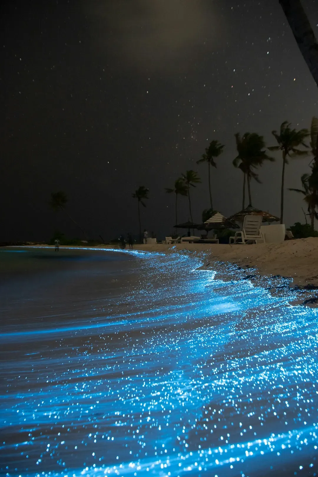 Vaadhoo Island’s Sea of Stars, Maldives: A Bioluminescent Shoreline (Image Credits: Unsplash)