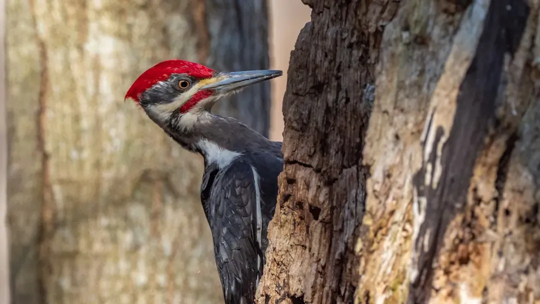 What These Visits Reveal About How Nature Really Works (Image Credits: Unsplash)