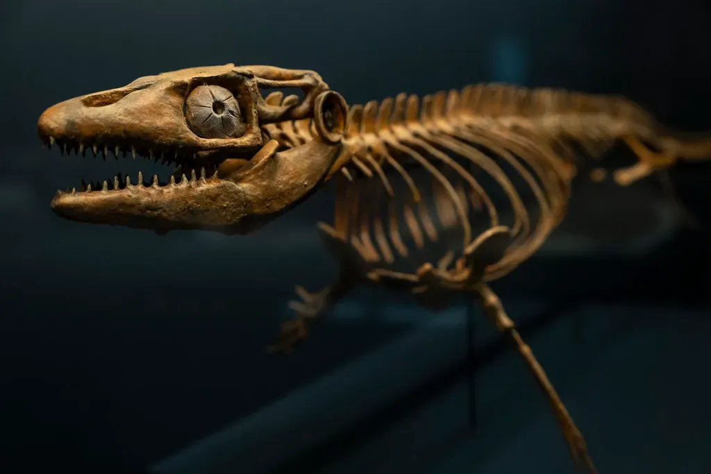 Mosasaurus vs. T. rex: Ocean Monster vs. Land King That Never Shared a Stage (hape662, Flickr, CC BY 2.0)