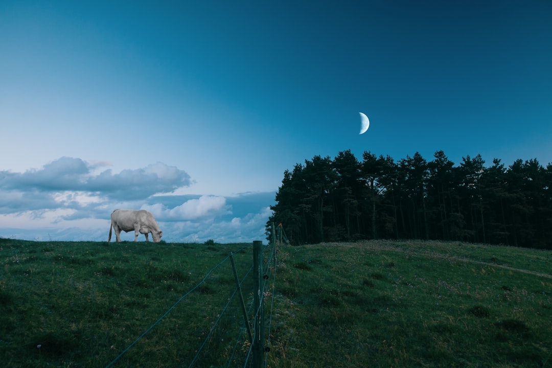 Call to Action (Image Credits: Unsplash)