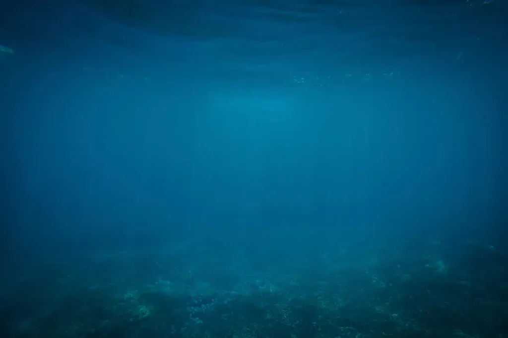How Sound Moves Through the Ocean (Image Credits: Rawpixel)