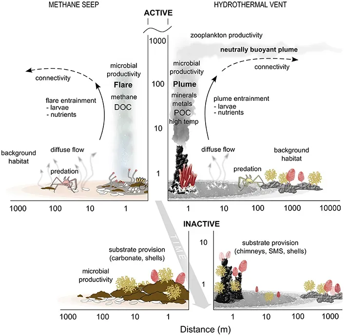 What Vents Reveal About the Origin of Life and Beyond ([1], CC BY 4.0)
