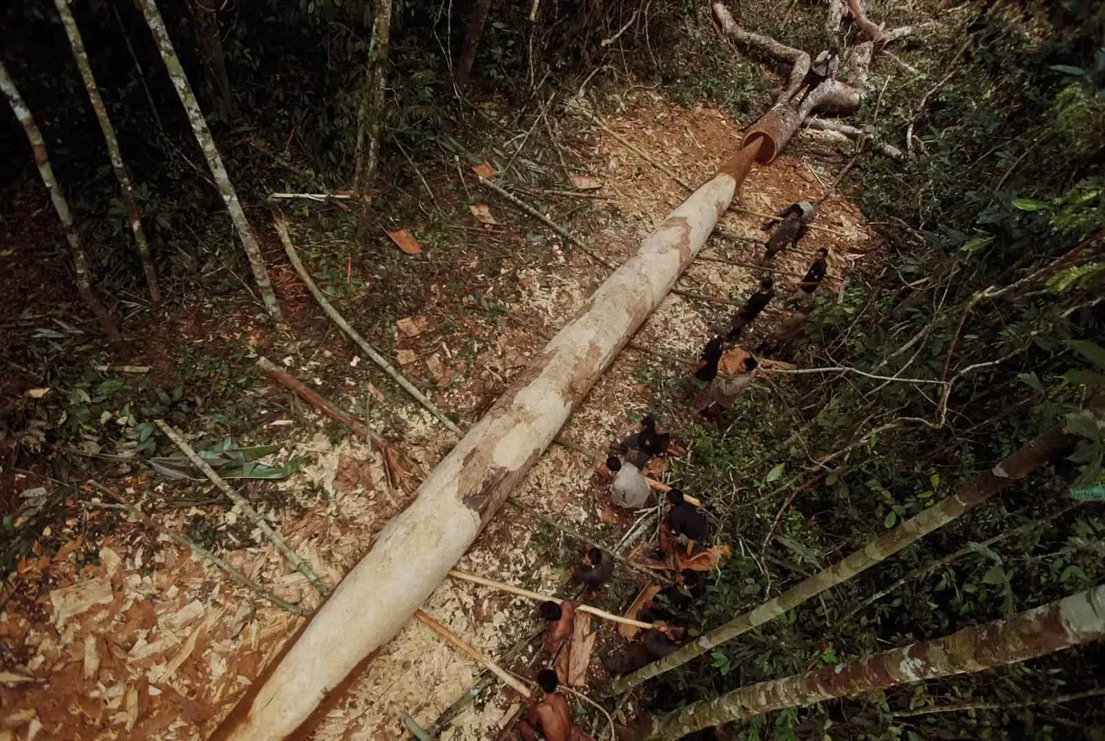 3. The Flecheiros (“Arrow People”) of Brazil (Image Credits: National Geographic)