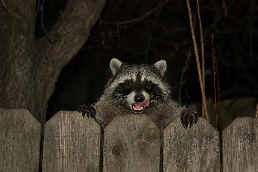 1. Learning to Live by Streetlight and Headlight (Image Credits: Flickr)