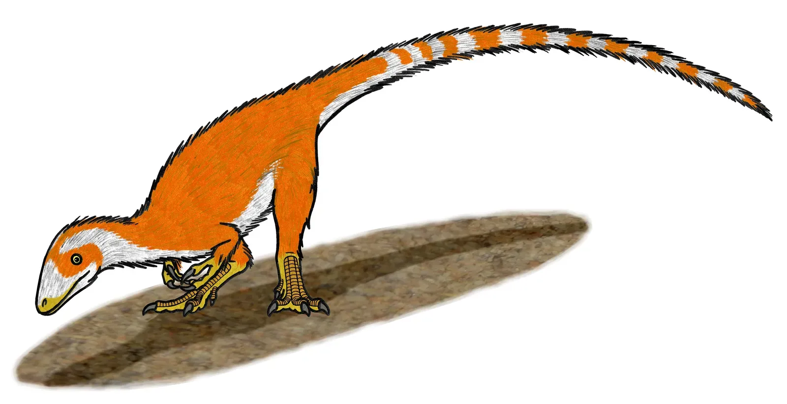 The First Ginger Dinosaur With a Striped Tail (By Conty, CC BY 3.0)