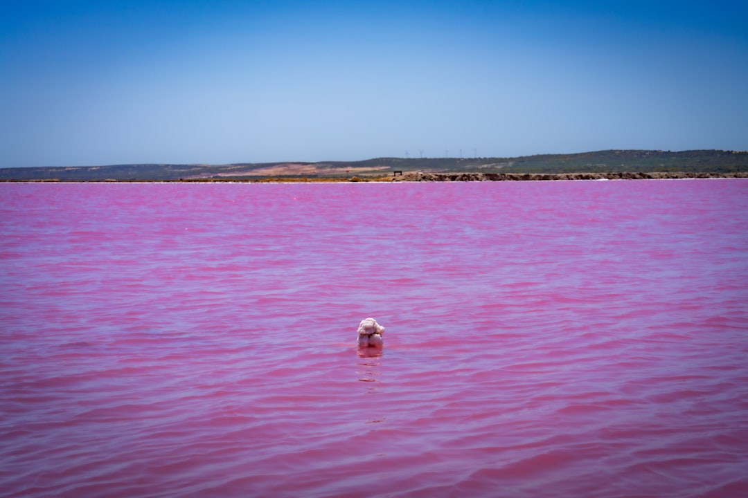 Weather's Role in the Color Show (Image Credits: Unsplash)