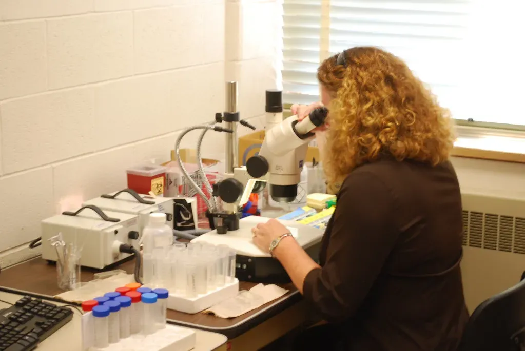 Where We Really Stand in 2026 (UnitedSoybeanBoard, Flickr, CC BY 2.0)