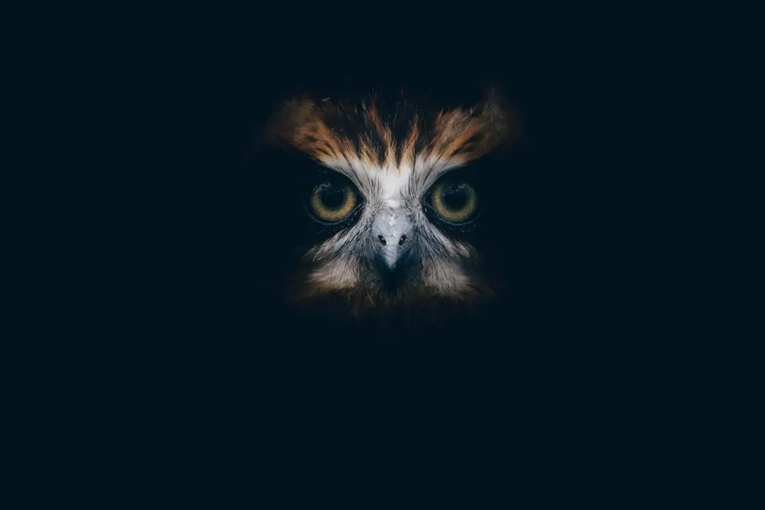So What Does It Really Mean? An Honest, Opinionated Take (Image Credits: Unsplash)