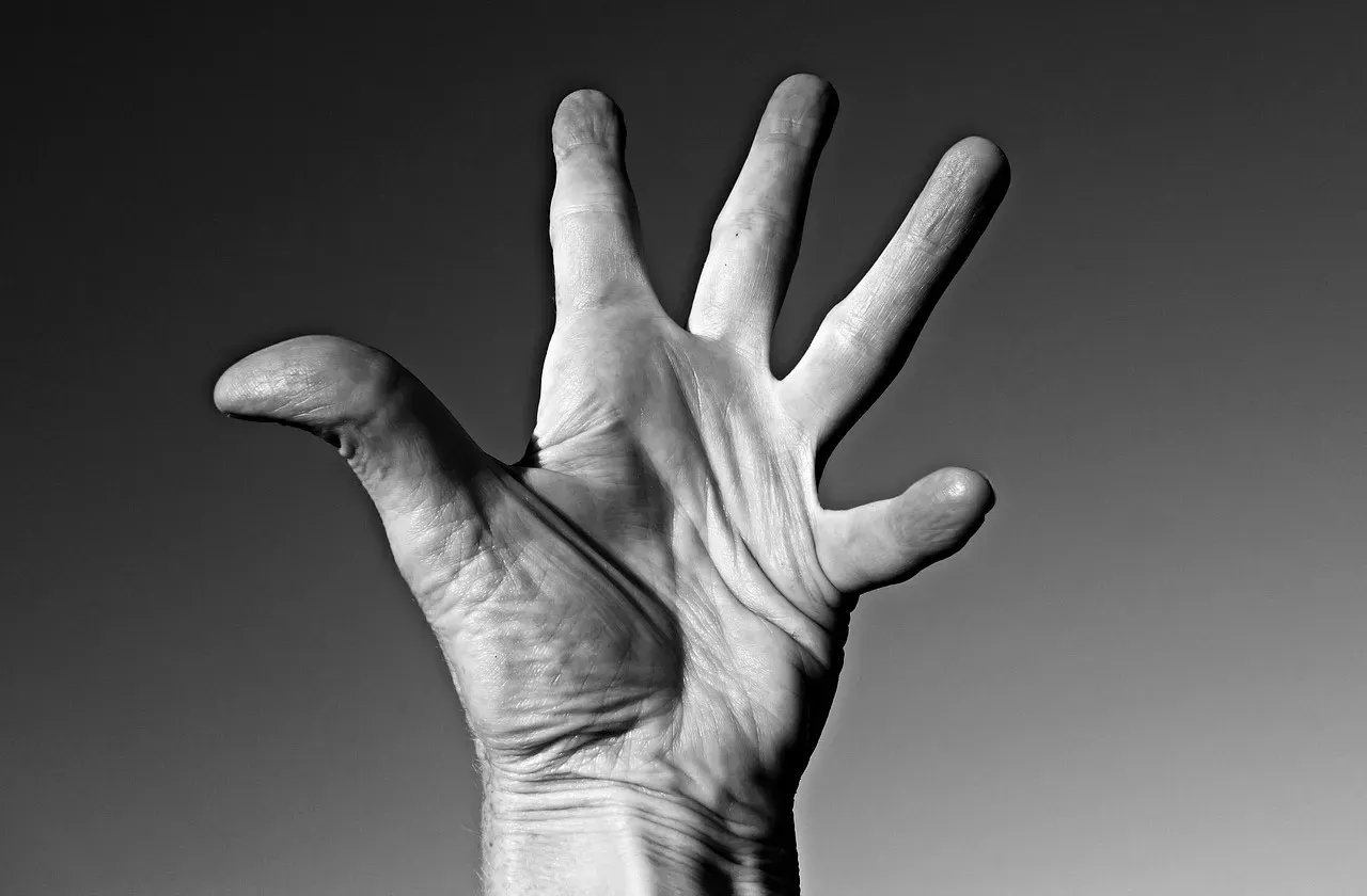 #2 - Absorb Bone-Jarring Impact Without Joint Damage (Image Credits: Pixabay)