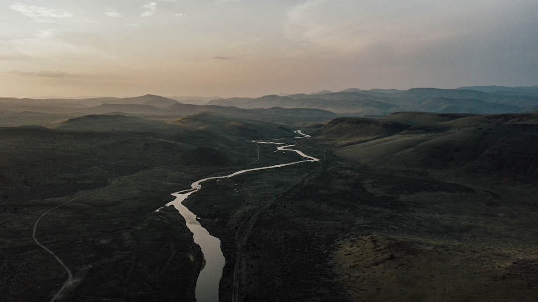 The Hidden Clues (Image Credits: Unsplash)
