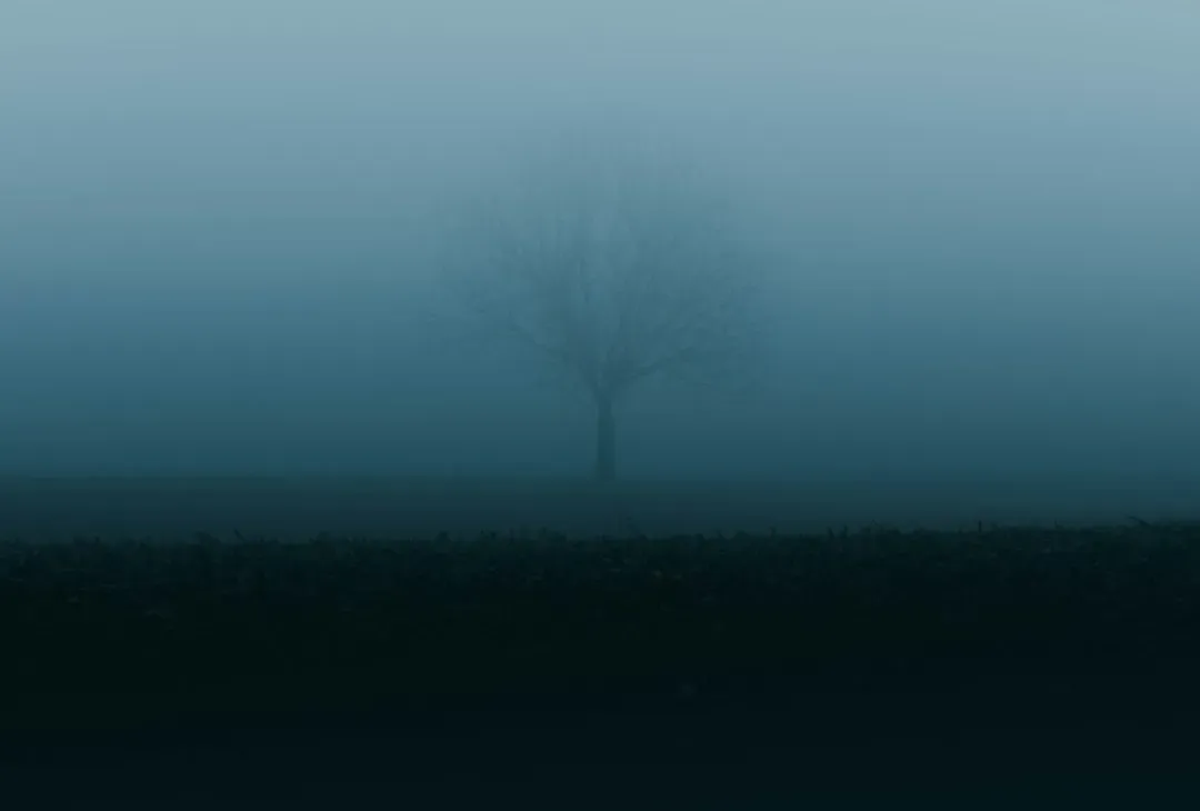 2. The Taos Hum and Other Global Hum Mysteries (Image Credits: Unsplash)