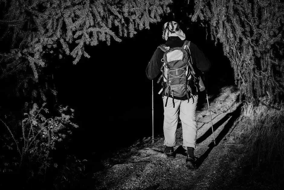 Social Media, Creepypasta, And How A Rumor Becomes “Truth” (Image Credits: Pexels)