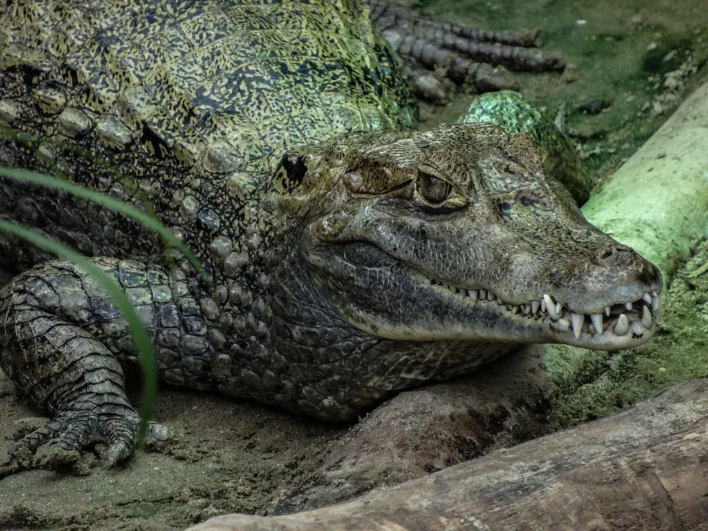 The Skeptics Are Not Wrong: Honoring the Uncertainty (tom-oneill, Flickr, CC BY 2.0)