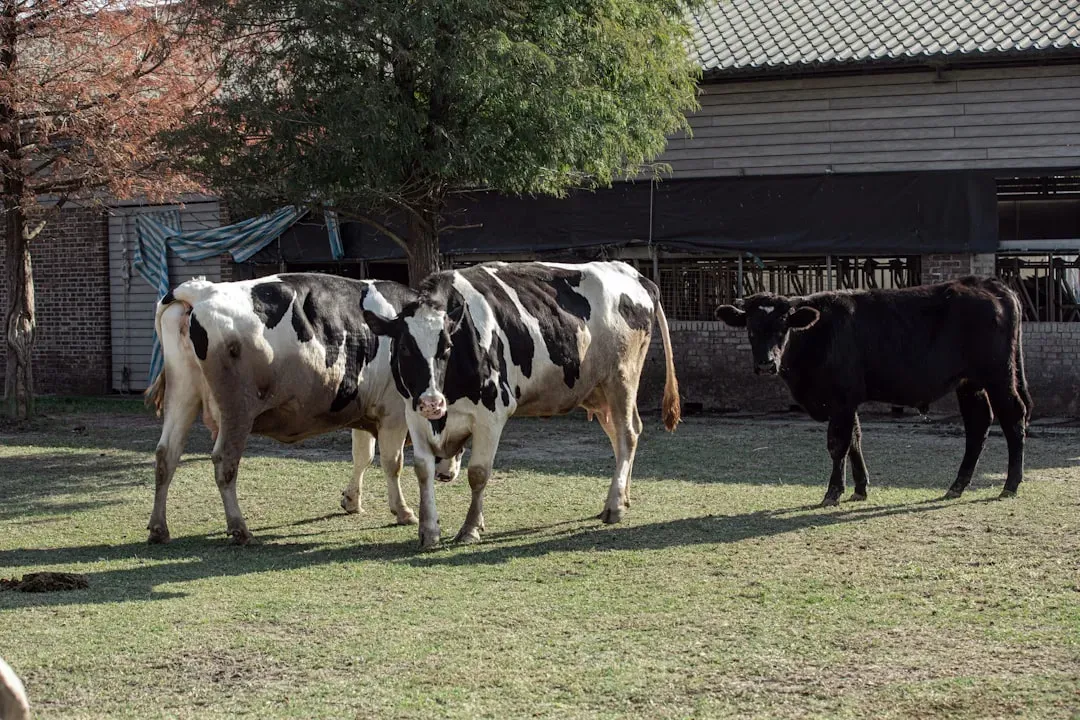 Cows, Deer, And Quiet Magnetic Alignment (Image Credits: Unsplash)