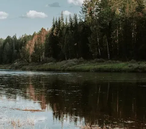 Climate change as an uninvited river engineer (Image Credits: Pexels)