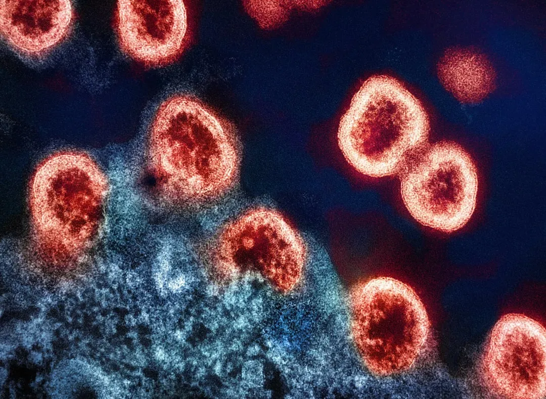 The Heat Makes Life Miserable for Many Pathogens (Image Credits: Unsplash)