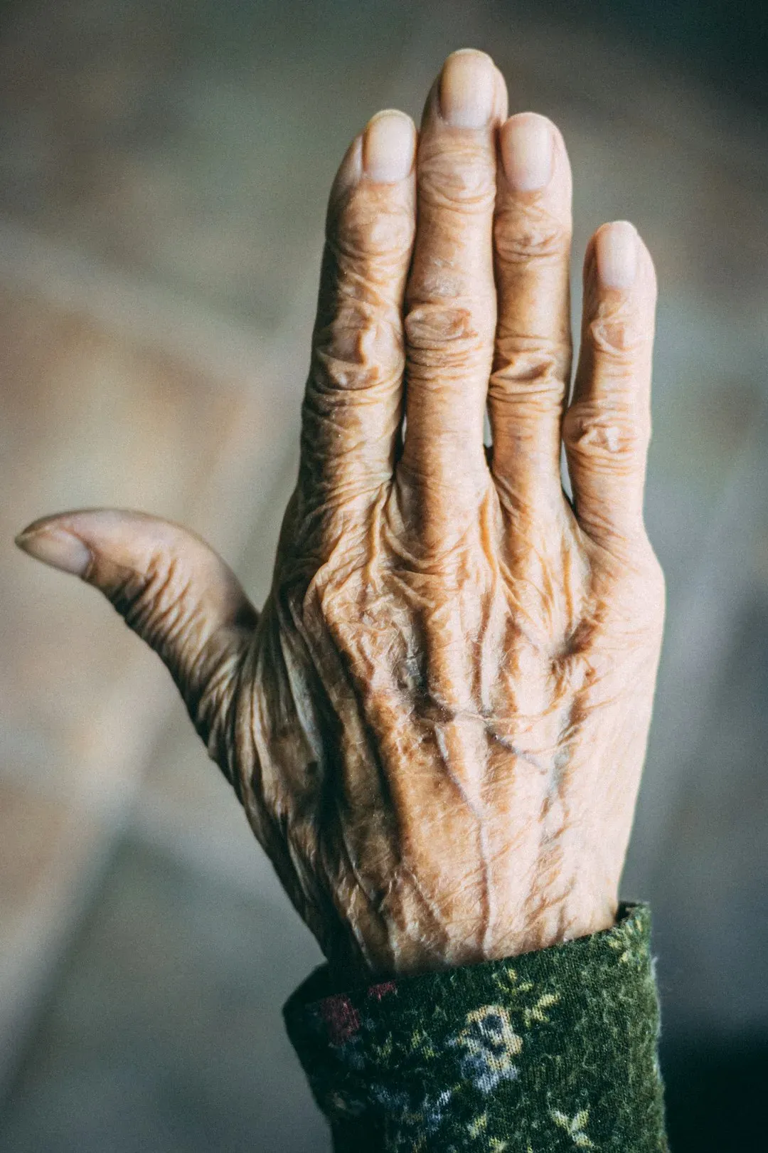 Why These Discoveries Matter: Aging As A Treatable Biological Process (Image Credits: Unsplash)