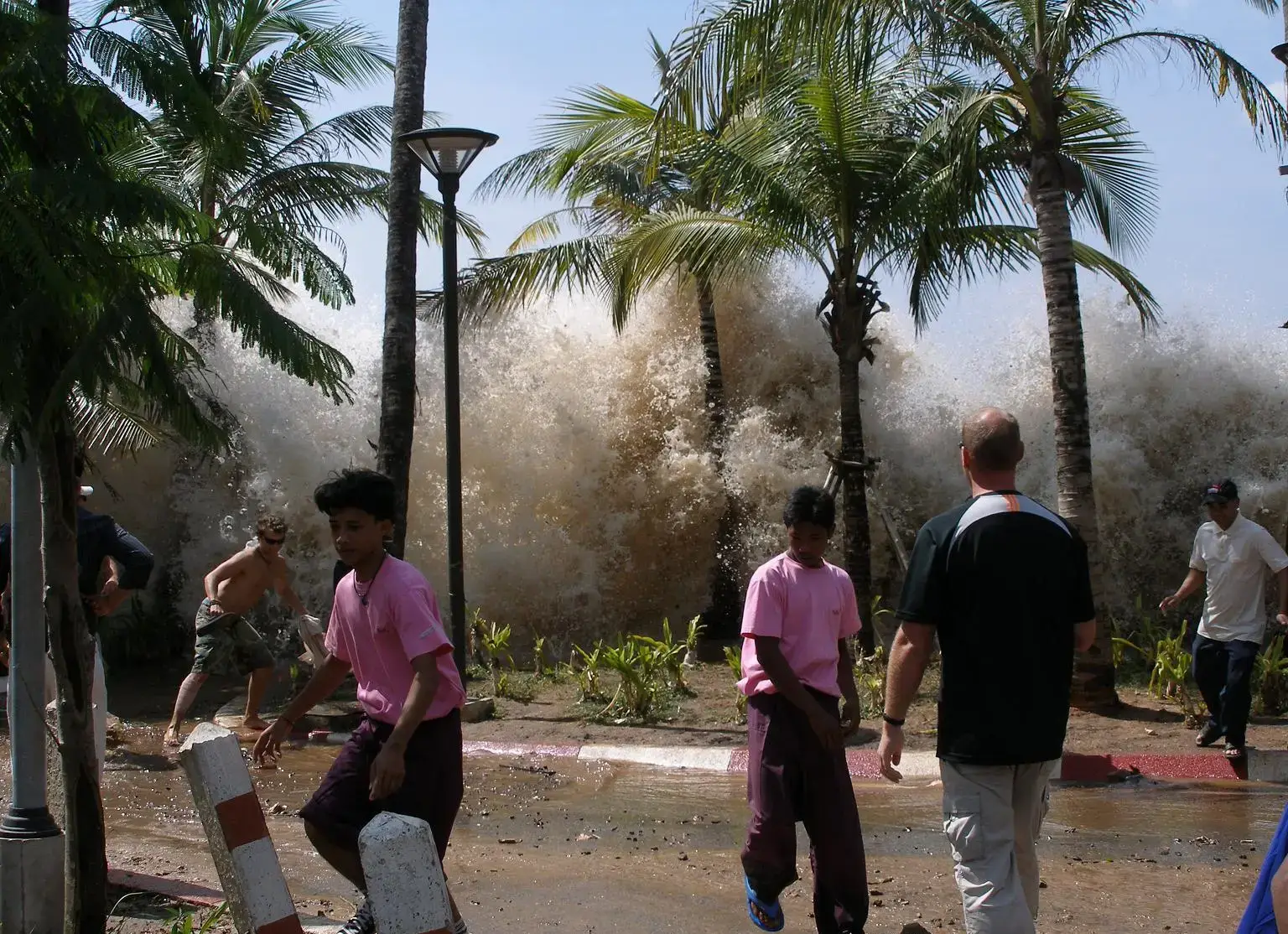 The 2004 Indian Ocean Tsunami: The World Awakened in Terror (Image Credits: Wikimedia)