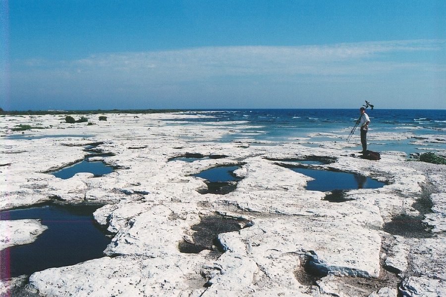 Conservation Challenges and Human Impact (Image Credits: Wikimedia)