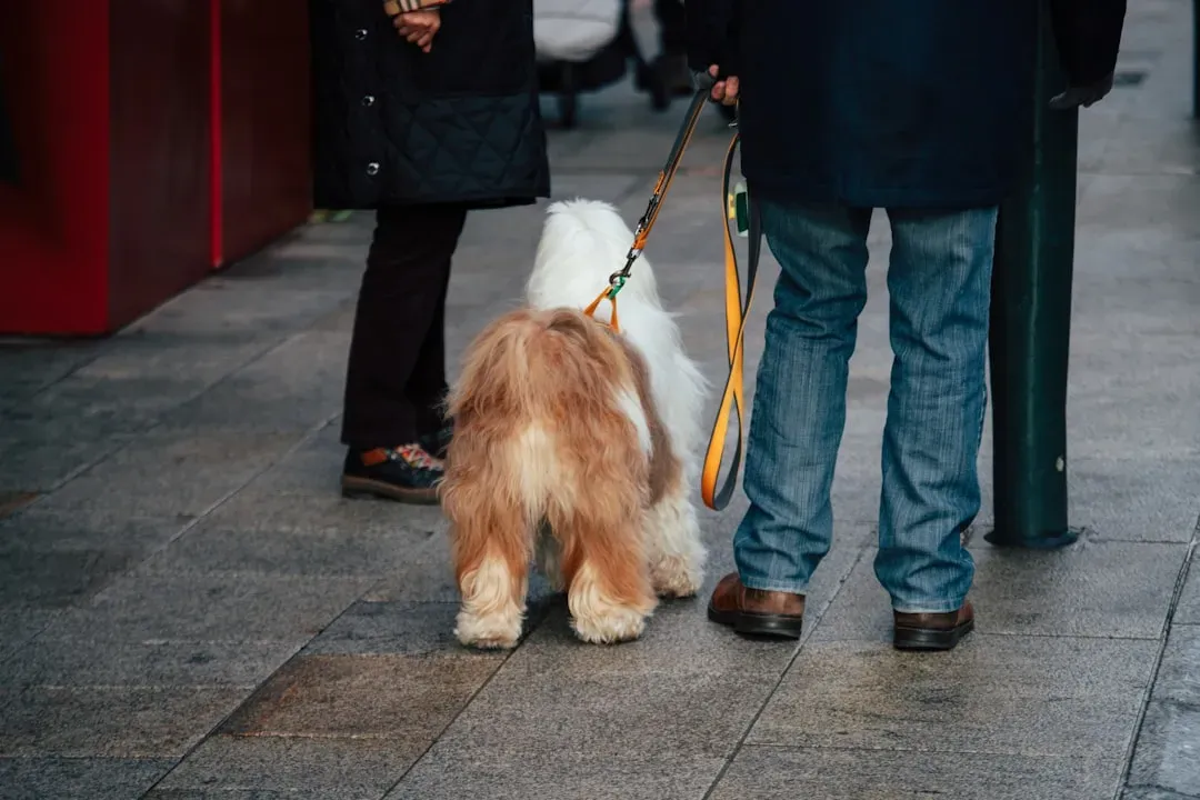 Dogs in the Modern World: Challenges and Responsibilities (Image Credits: Unsplash)