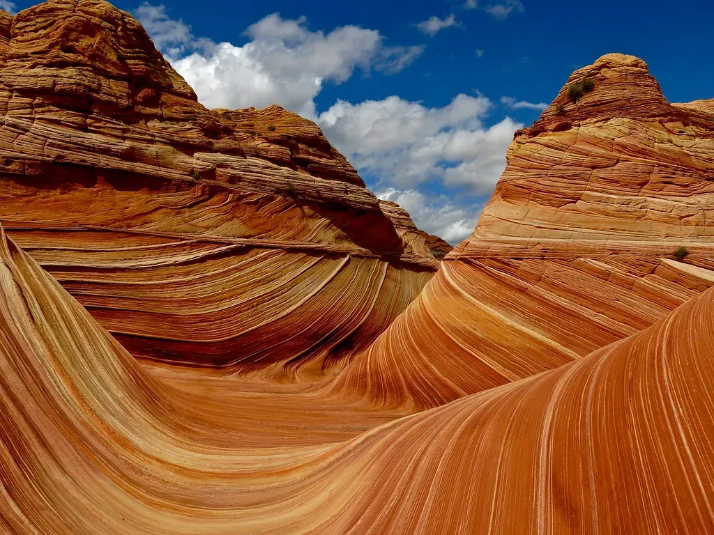 The Wave: Arizona's Frozen Ocean (Image Credits: Flickr)