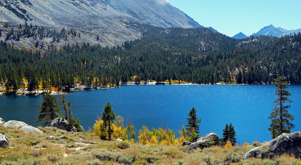 The Chemistry of Color Change (Image Credits: Flickr)