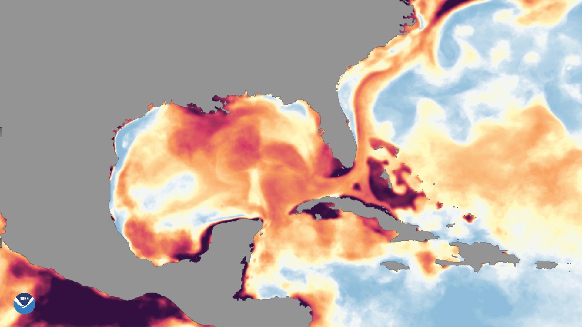 Heat, Salinity, and the Slow Heartbeat (Image Credits: Wikimedia)