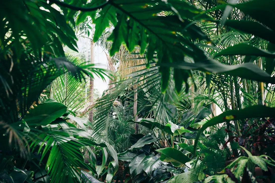 Ethical Shockwaves: What If Every Forest Is Full of Minds? (Image Credits: Unsplash)