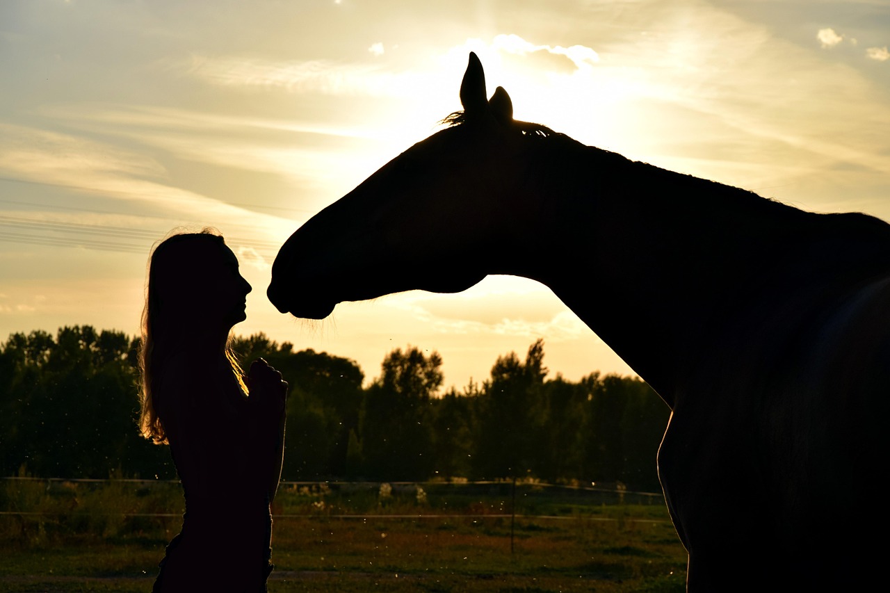 Pisces Rising: The Intuitive Horse (Image Credits: Pixabay)
