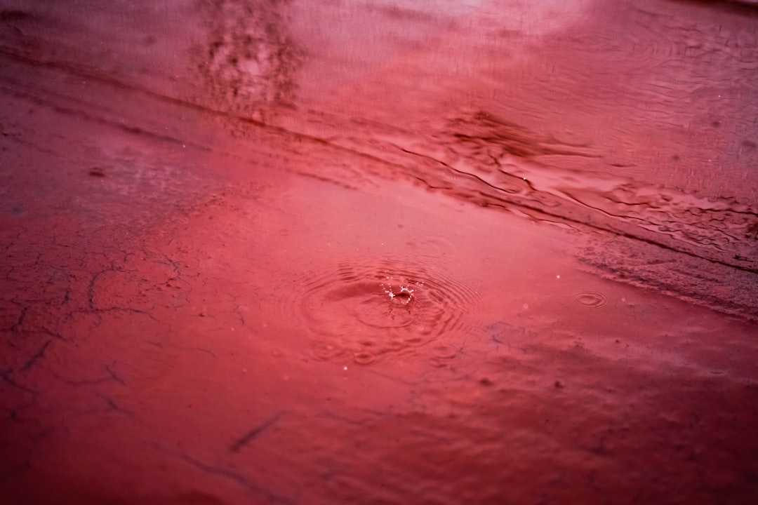 Why It Matters (Image Credits: Unsplash)