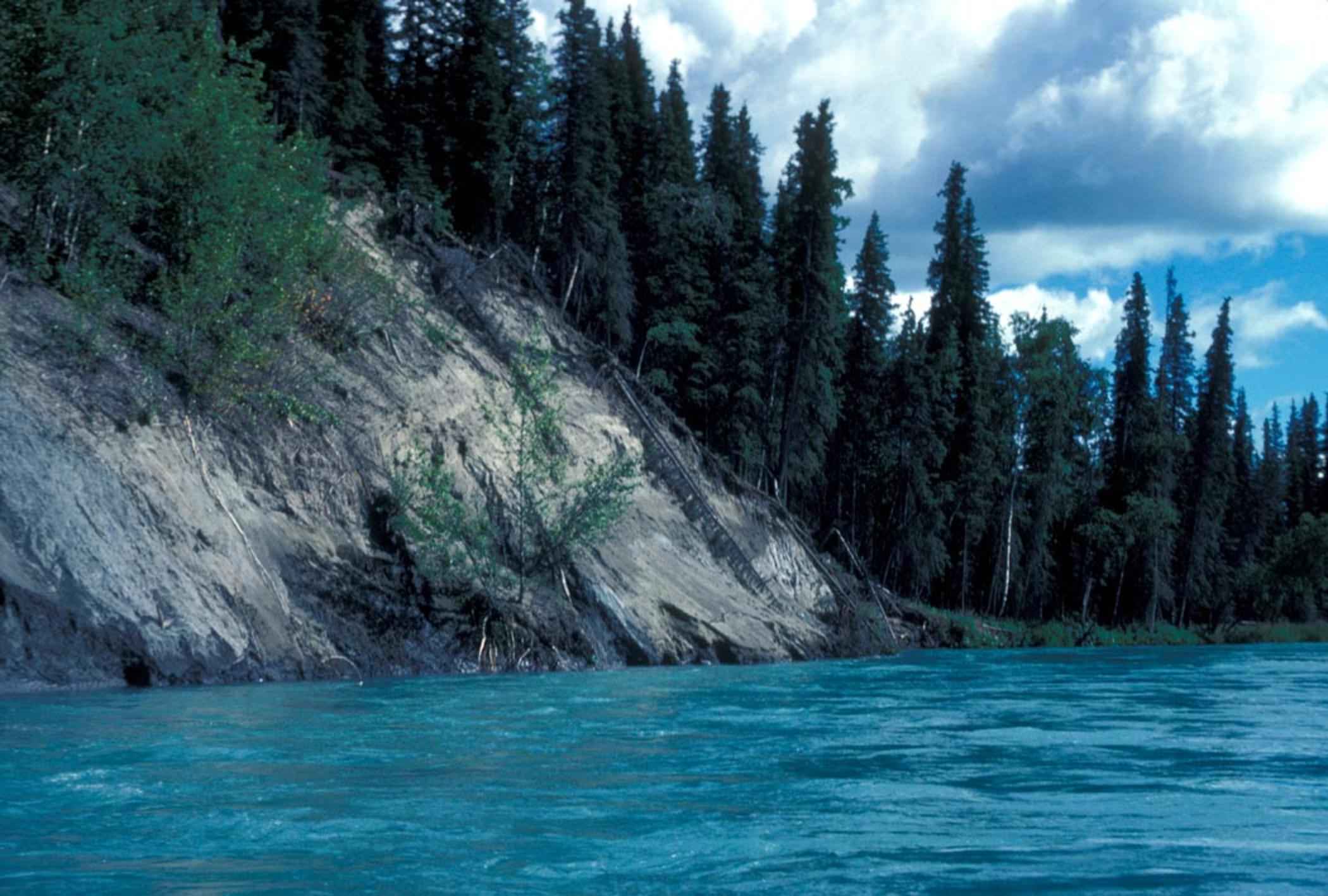 Kenai River, Alaska (Image Credits: Wikimedia)