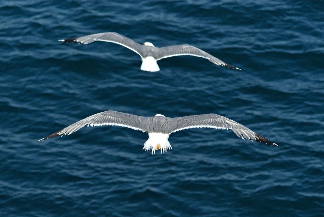 The Hidden Clues (Image Credits: Unsplash)