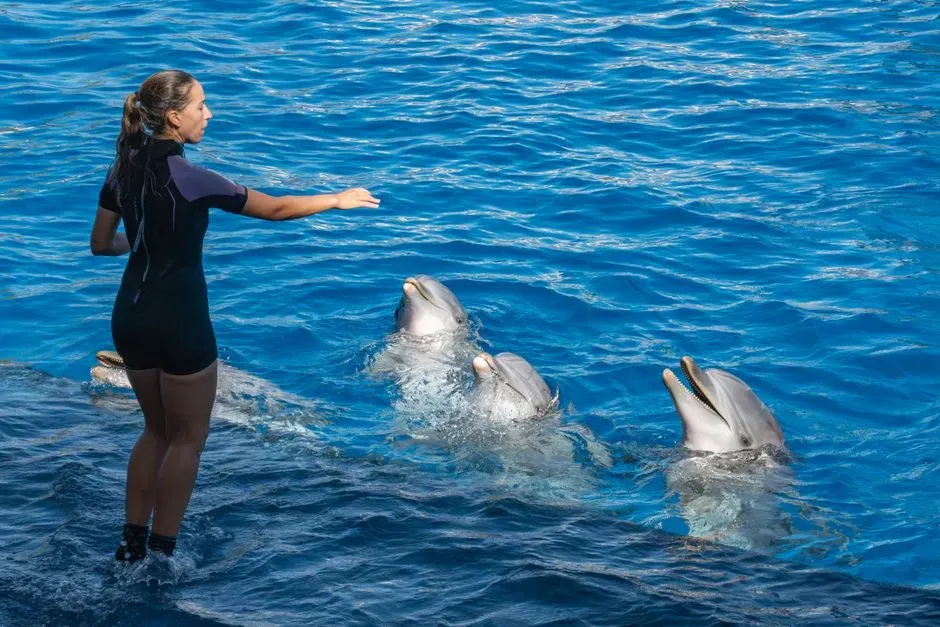 Conclusion – Making Peace With Your Inner Animal (Image Credits: Pexels)