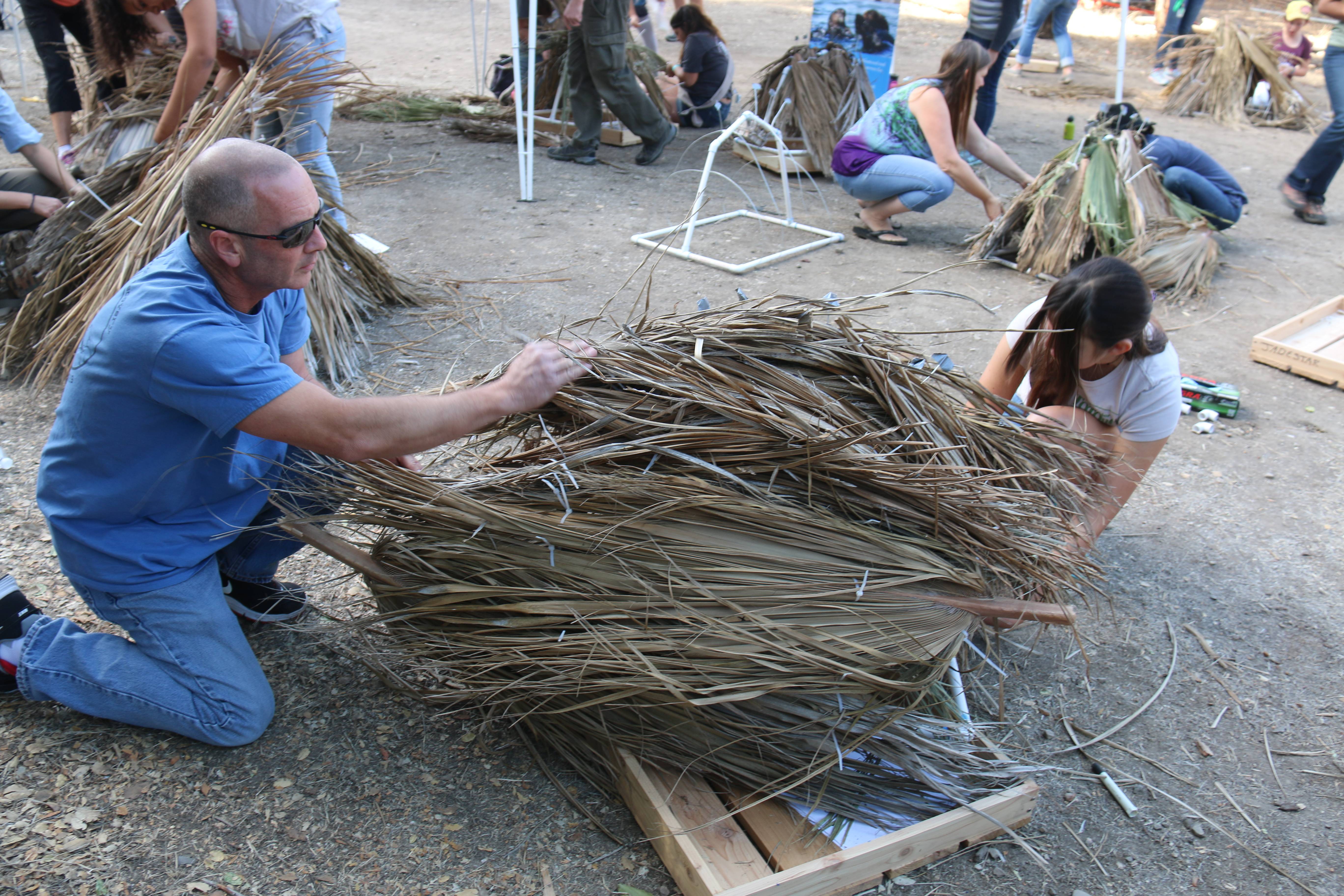 The Hidden Clues: Personality Archetypes Meet Field Realities (Image Credits: Wikimedia)