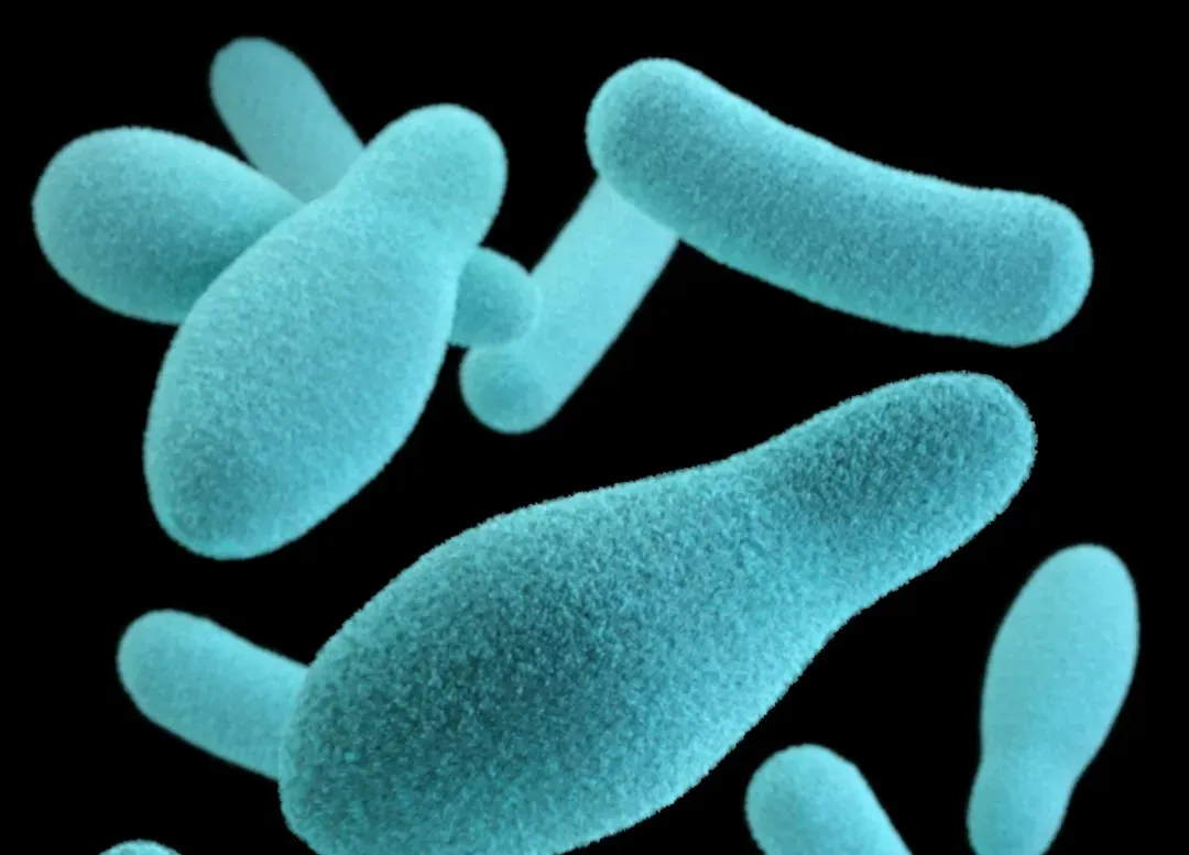 The Invisible City Floating in the Air You Breathe (Image Credits: Unsplash)